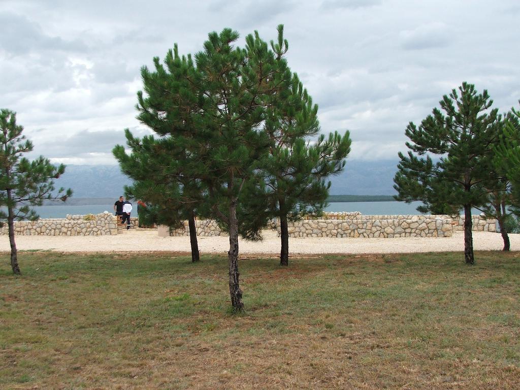 Apartments Biskup Privlaka  Dış mekan fotoğraf