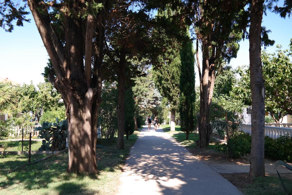 Apartments Biskup Privlaka  Dış mekan fotoğraf